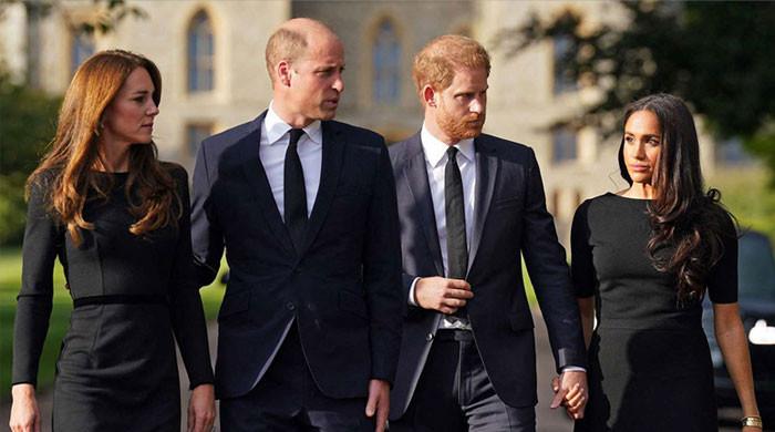 Prince William turns to members of the government for Harry, Meghan’s public removal