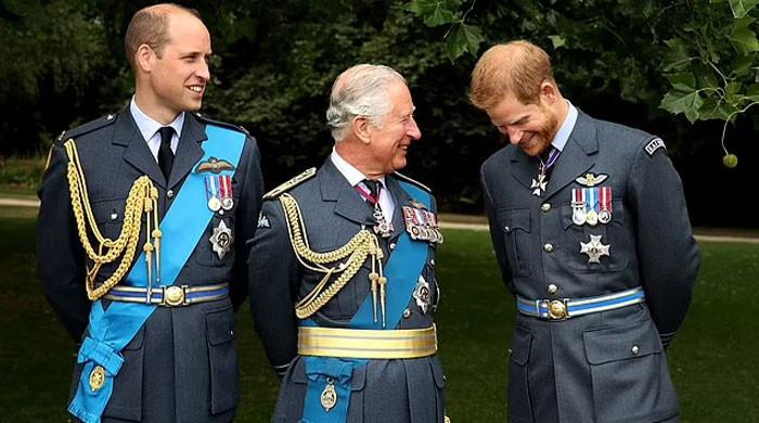 King Charles, Prince Harry reconciliation: Major new update revealed