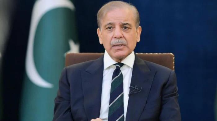 PM Shehbaz offers condolences to China over landslide deaths