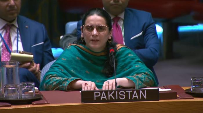 At UNSC, Pakistan urges India to end state terrorism, hold dialogue