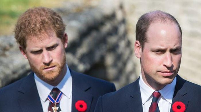 Prince William to choose monarchy over ‘vindictive’ motive