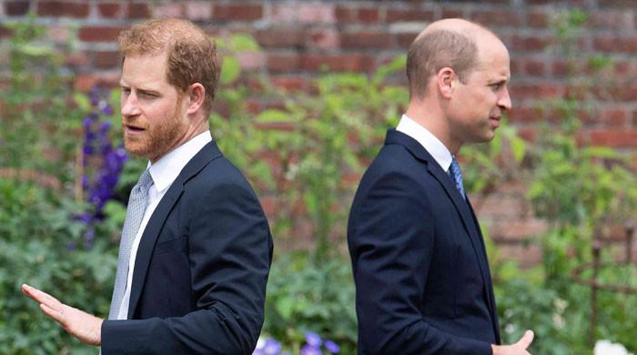 Prince William’s plans for Prince Harry, Meghan branded an insult waiting to happen