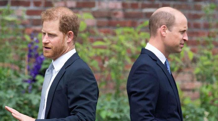 Prince Harry struggles for support as William rises as most popular royal