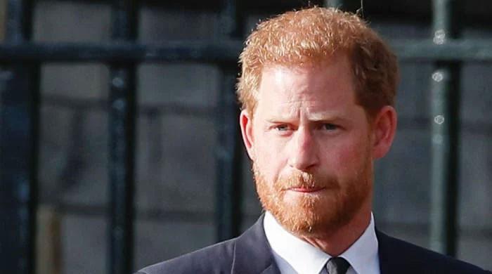 Prince Harry told drawbacks of being ‘stay at home dad’