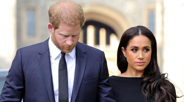 Prince Harry gets insult from Nigel Farage over UK exit