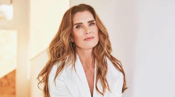 Brooke Shields rings in milestone 60th birthday