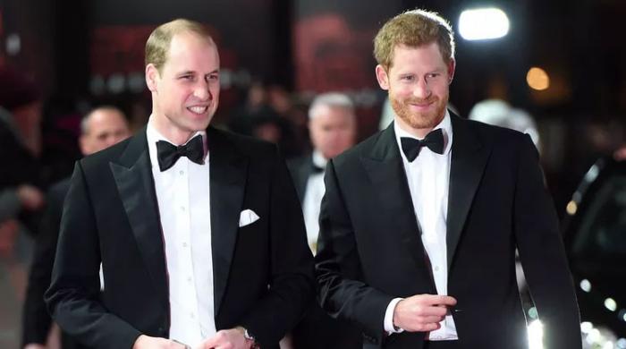 Prince Harry left Prince William grieving: ‘completely broken’