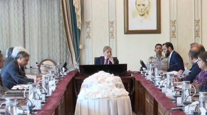 PM Shehbaz sees reforms as key to build stable global economy