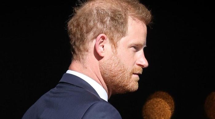 Prince Harry’s new business plans raise concerns