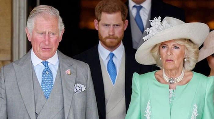 Queen Camilla’s stance on King Charles, Prince Harry feud laid bare