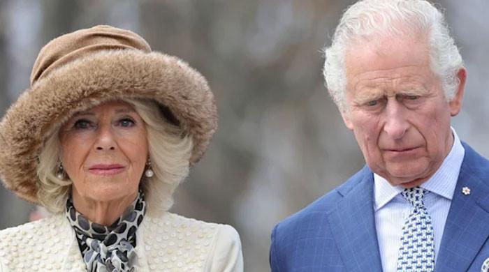 Queen Camilla under pressure to convince King Charles to take big decision