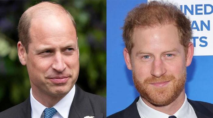 Prince William hints at tension with Prince Harry in unexpected family comment