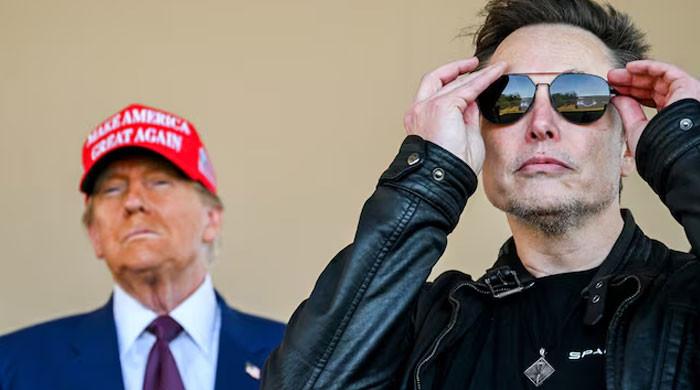 Elon Musk drops bombshell, says Trump named in Epstein files