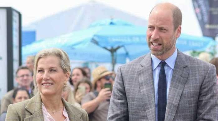 Prince William and Duchess Sophie’s joint appearance in pictures