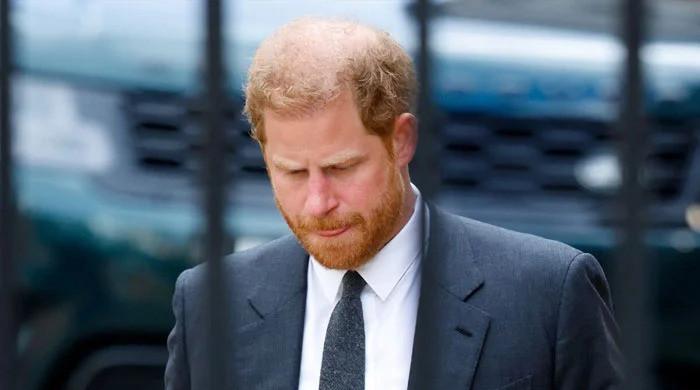 Prince Harry kids won’t change their ‘whole life’ for Royal duties