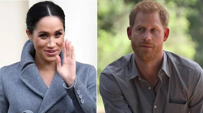 Meghan Markle’s caught Prince Harry in her ‘dream’ life